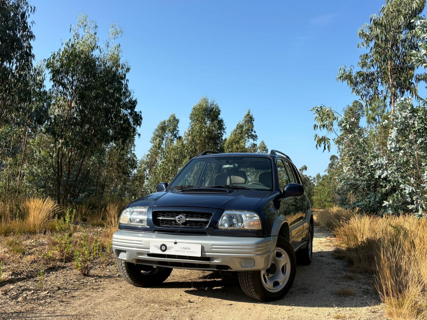 Suzuki Grand Vitara
